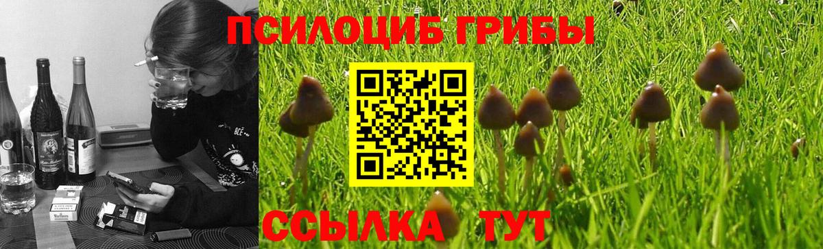 Псилоцибиновые грибы мухоморы Гулькевичи